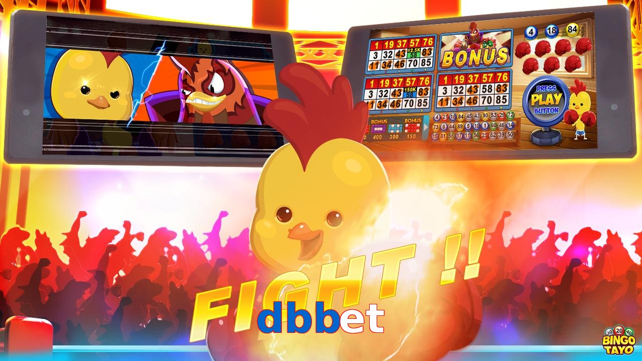 dbbet