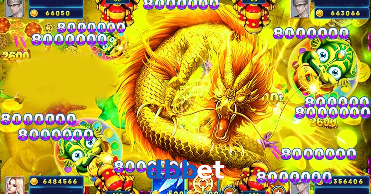 dbbet