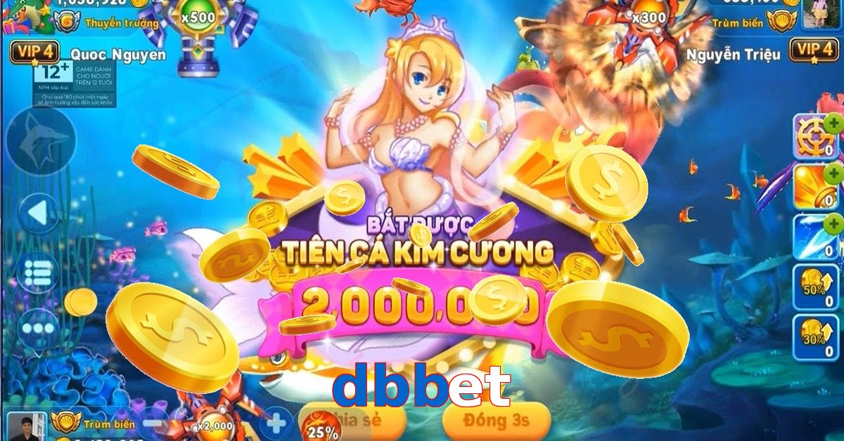 dbbet