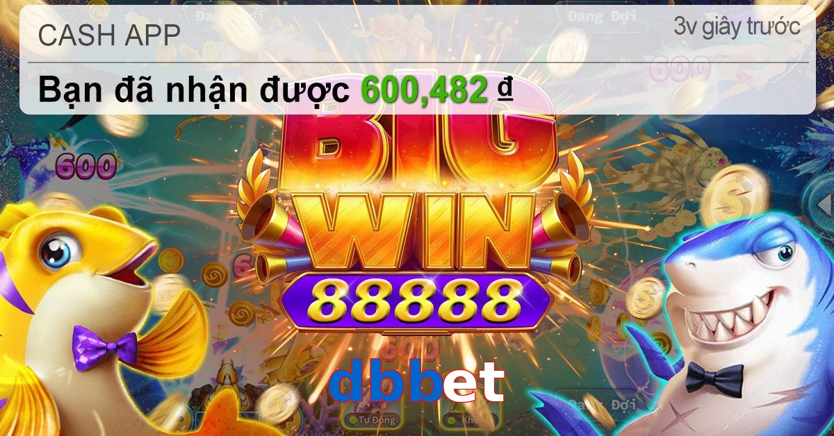 dbbet