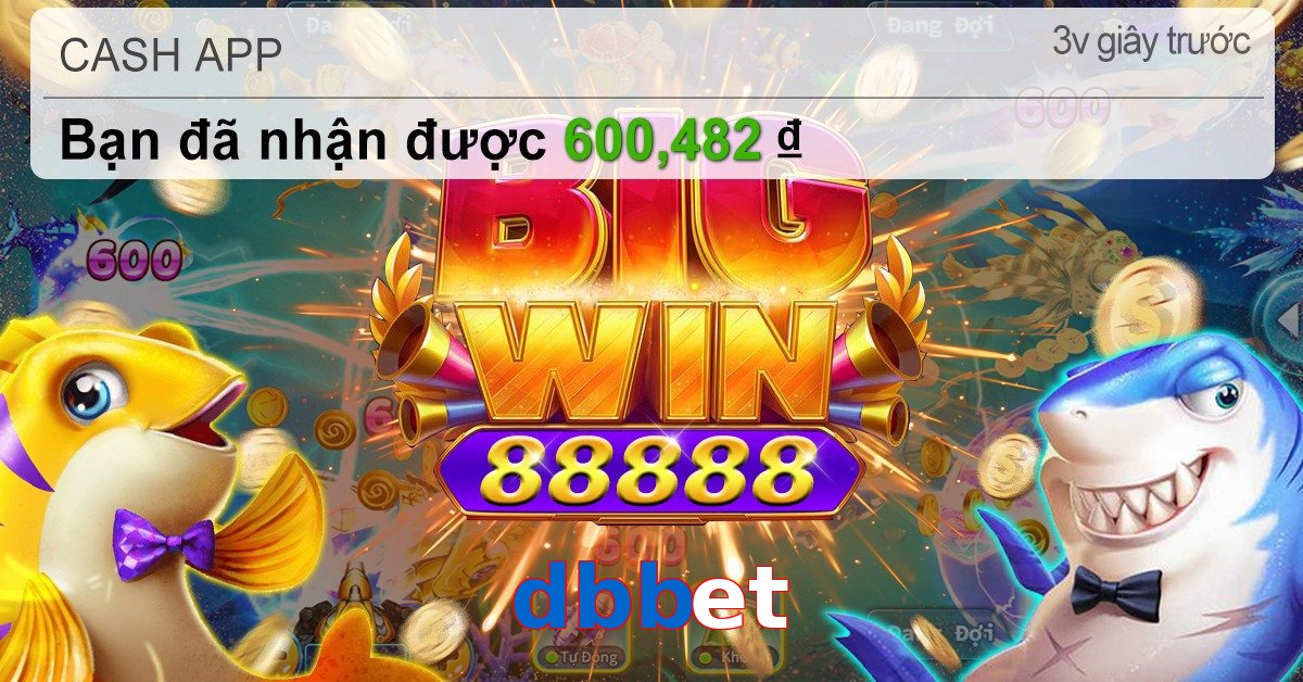 dbbet